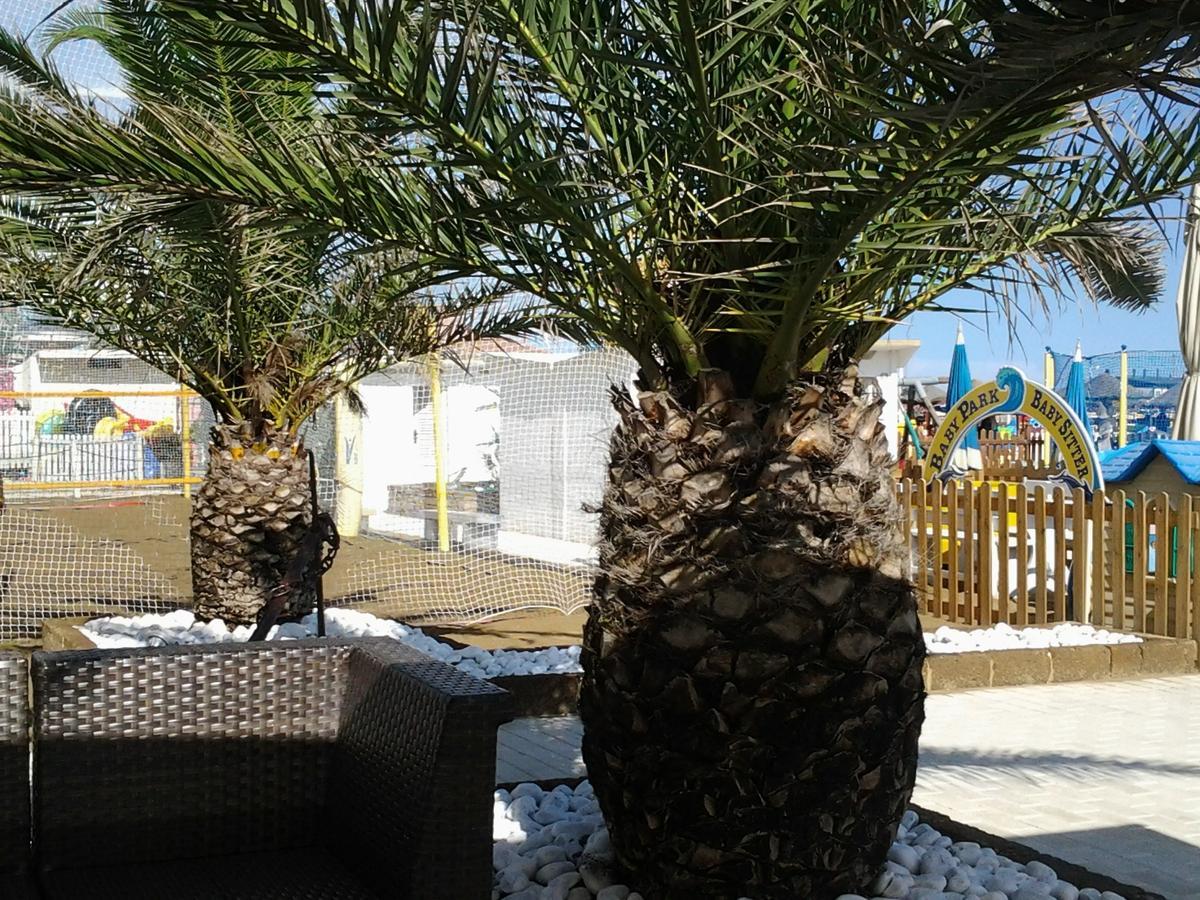 Residence Adriatico Gabicce Mare Εξωτερικό φωτογραφία